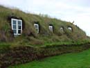 Icelandic Farm